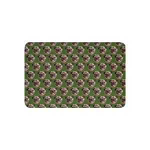 Pug Face Sherpa blanket- green